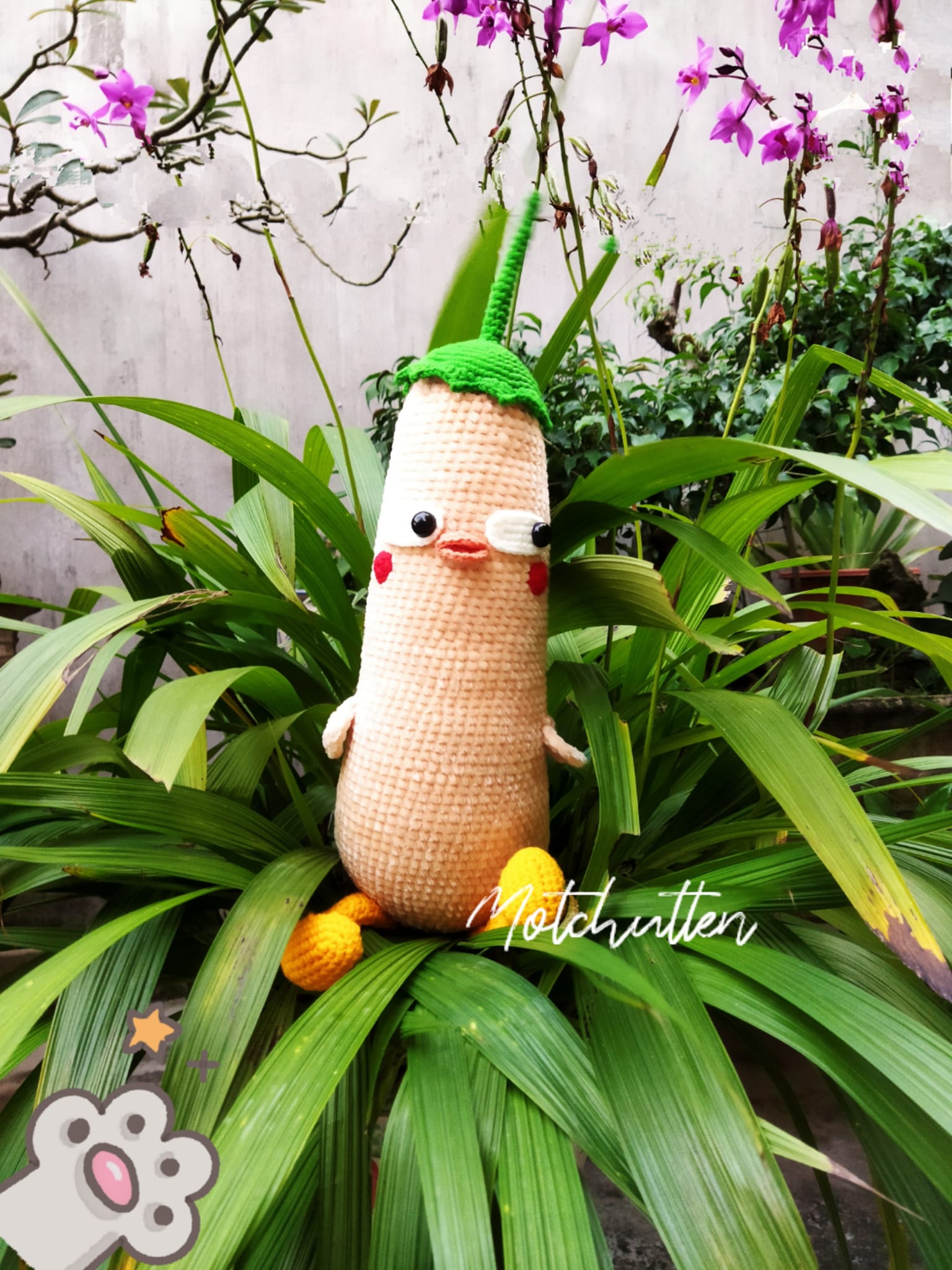 Gối Ôm Bí Ngô - Hình ảnh 6