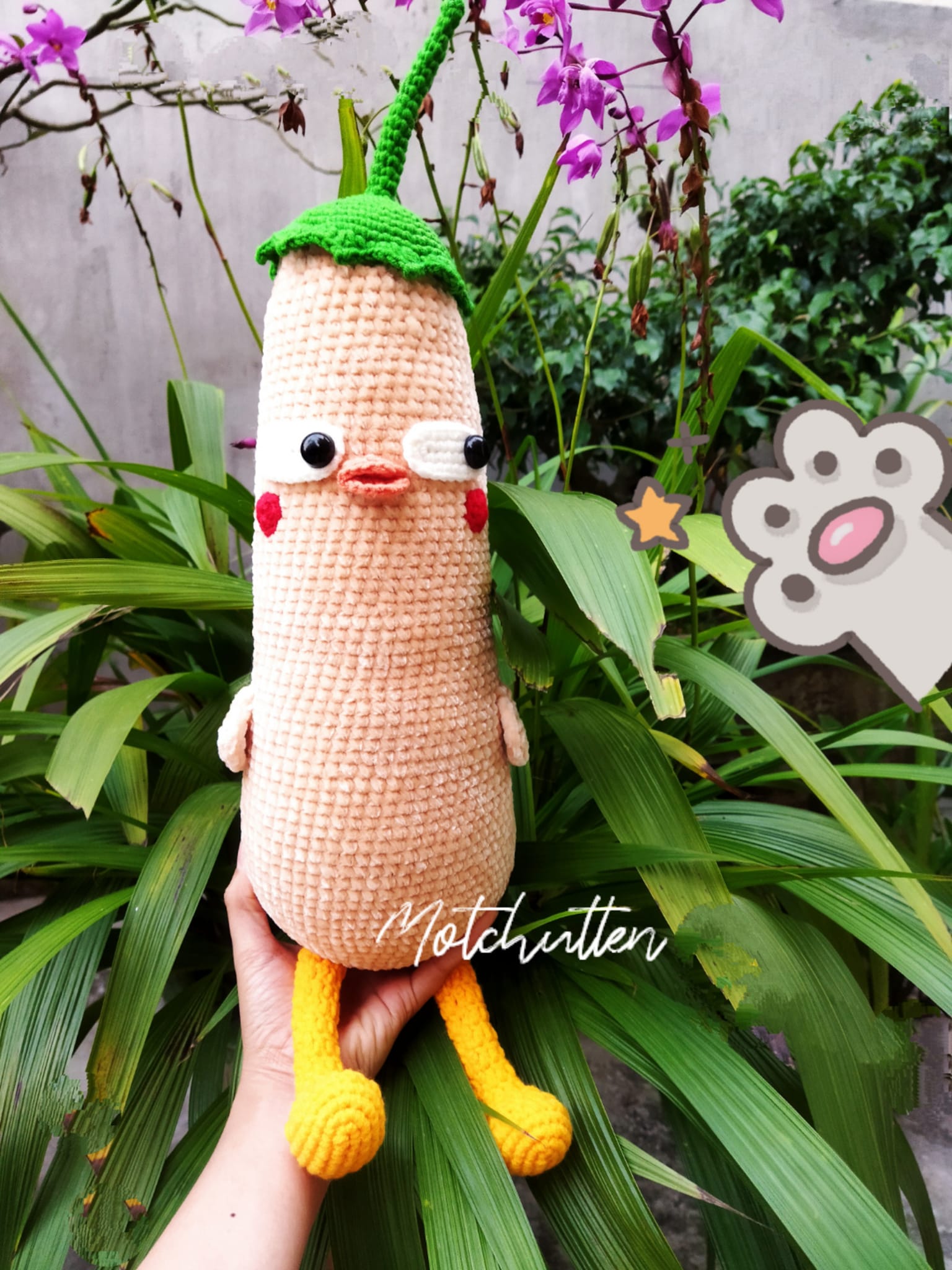 Gối Ôm Bí Ngô - Hình ảnh 5